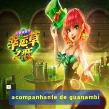 acompanhante de guanambi